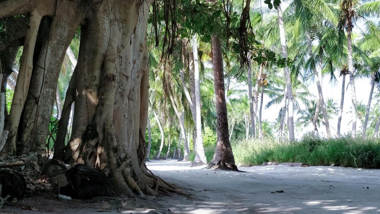 Muraka Inn Thoddoo Exterior foto