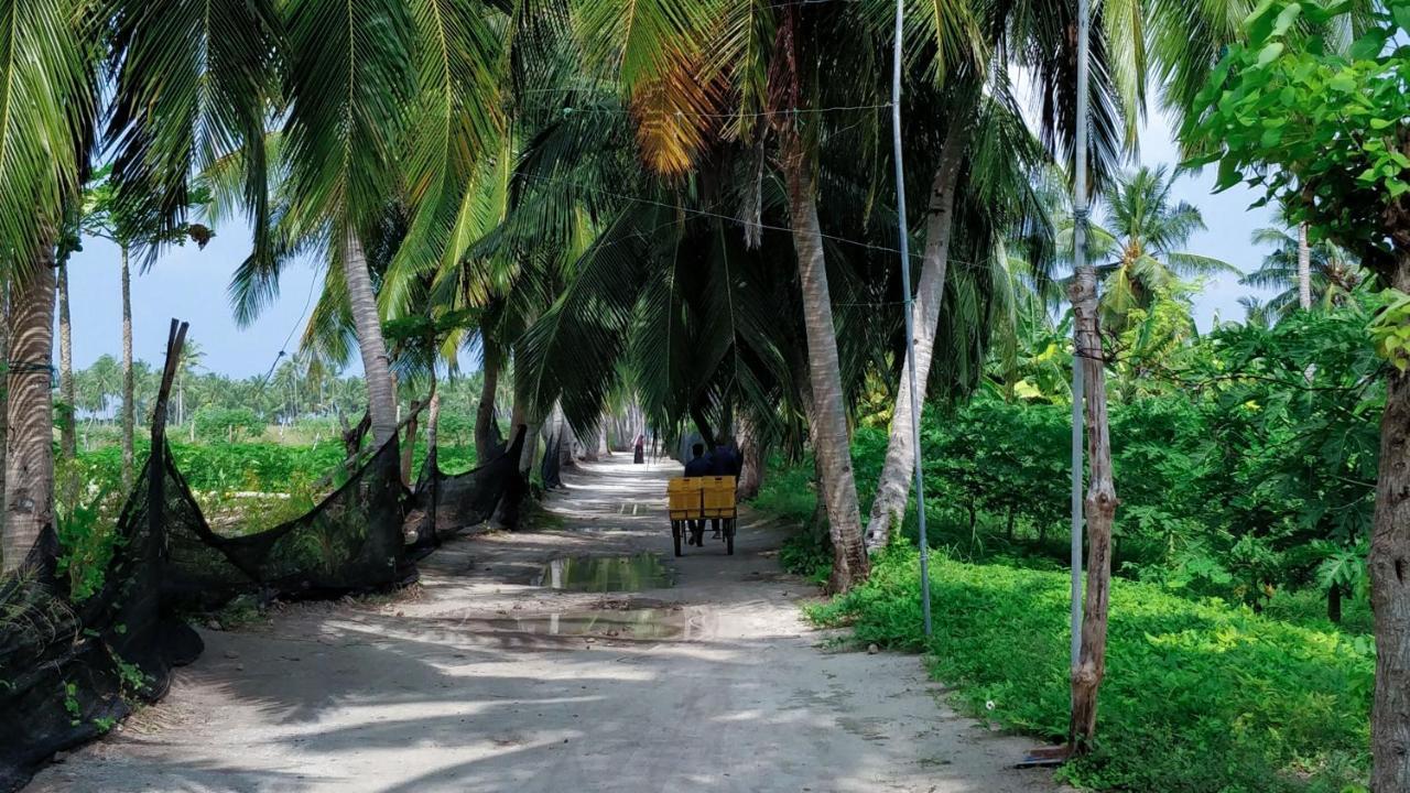 Muraka Inn Thoddoo Exterior foto