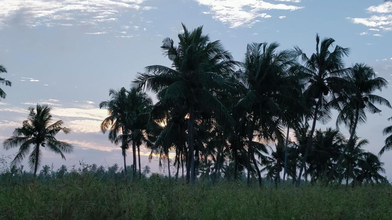 Muraka Inn Thoddoo Exterior foto